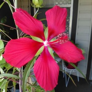 Meet your Posher, Angie